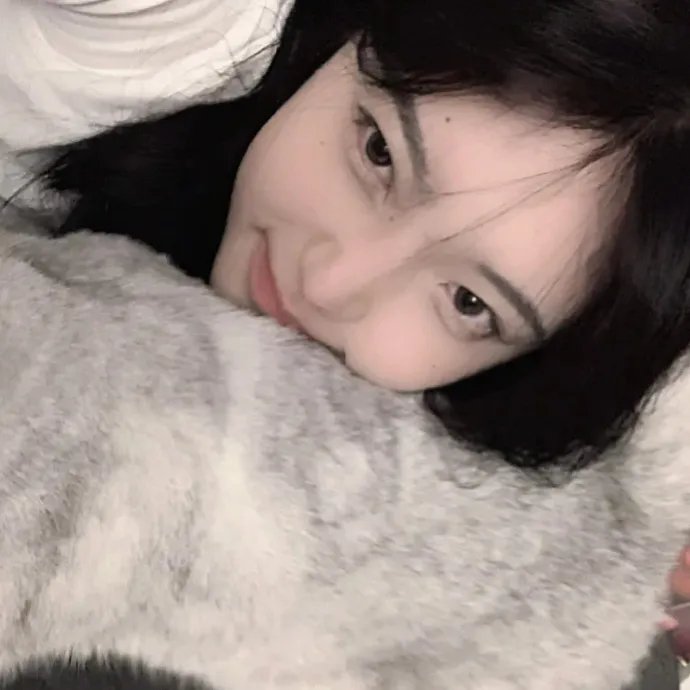 肥猫寻亲记